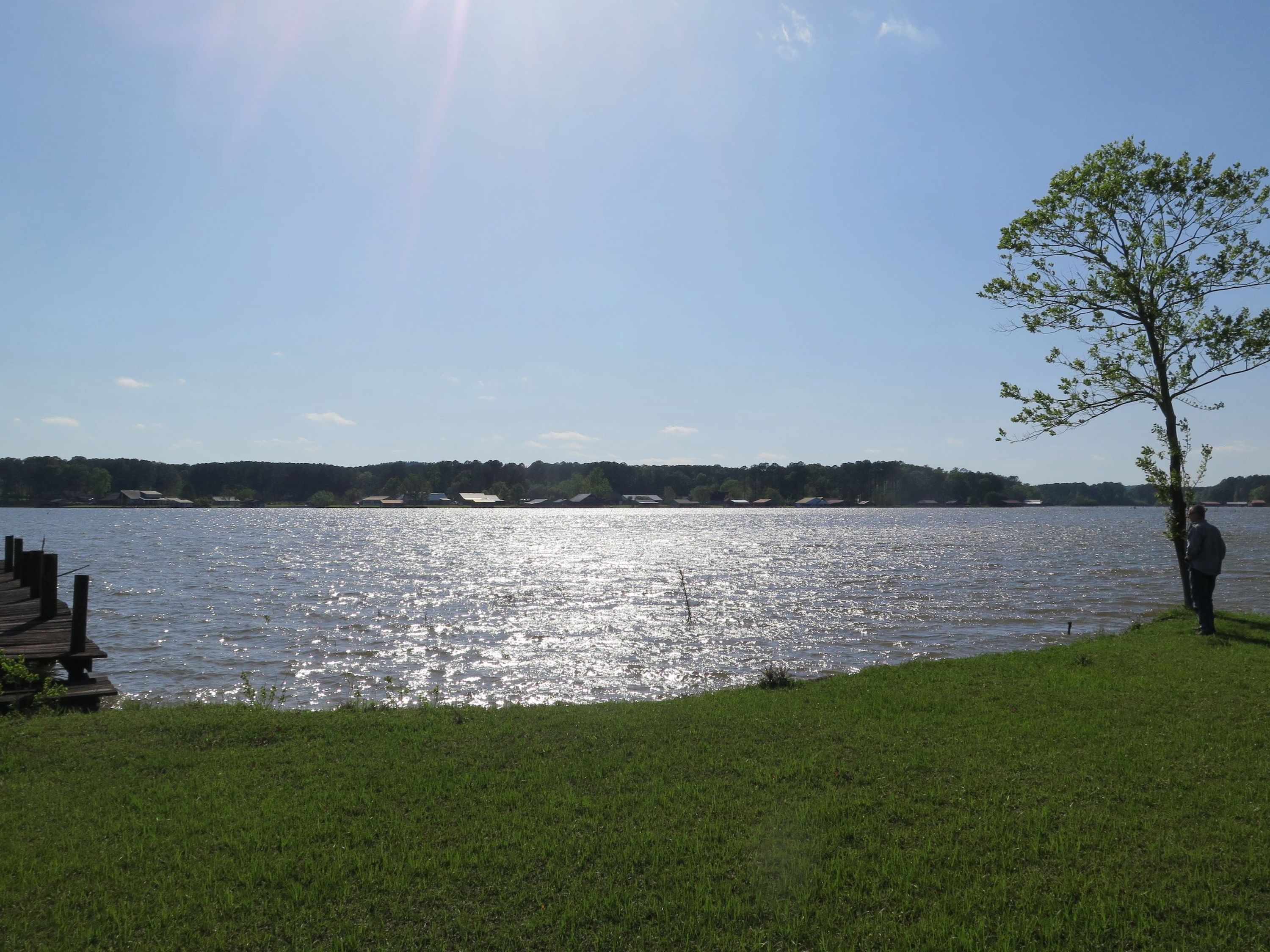 Waterfront Lot On Lake Eddins Whitetail Properties