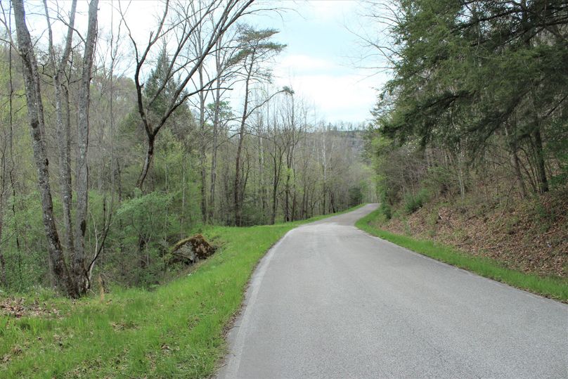 008 KY 542 to the immediate north of the property