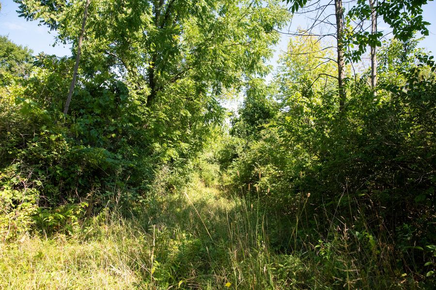 Cayuga_NY_78.76_Hansen_Photos_46