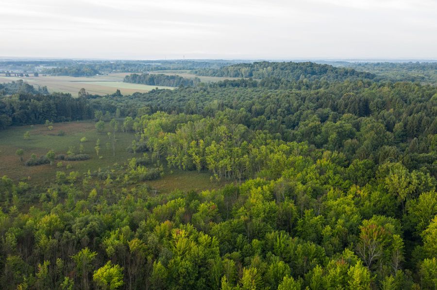 Cayuga_NY_78.76_Hansen_Photos_3