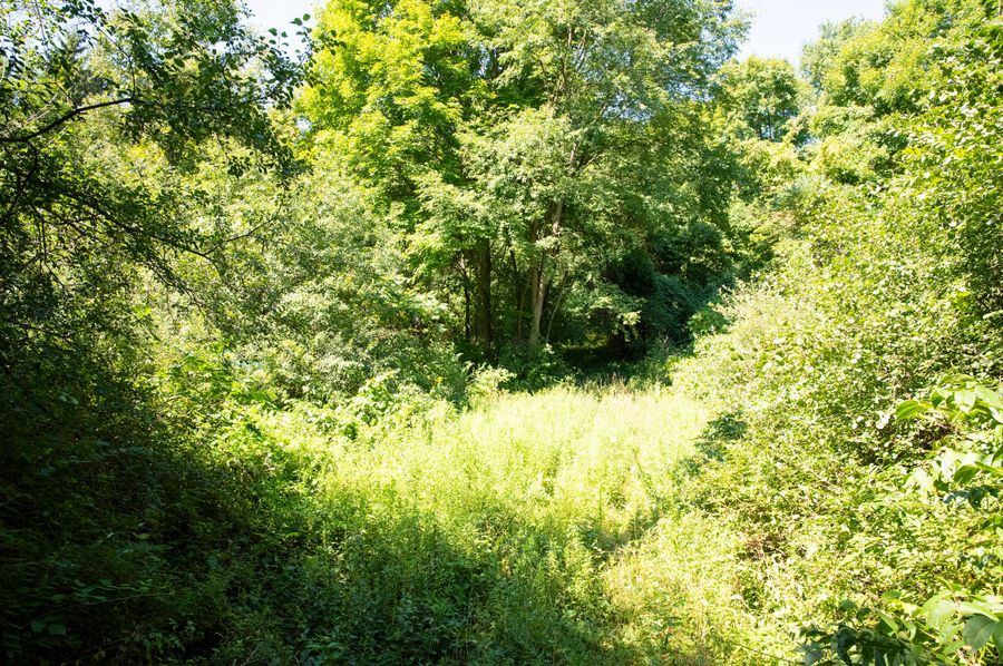 Cayuga_NY_78.76_Hansen_Photos_47