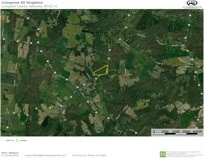 Livingston 60 airplane