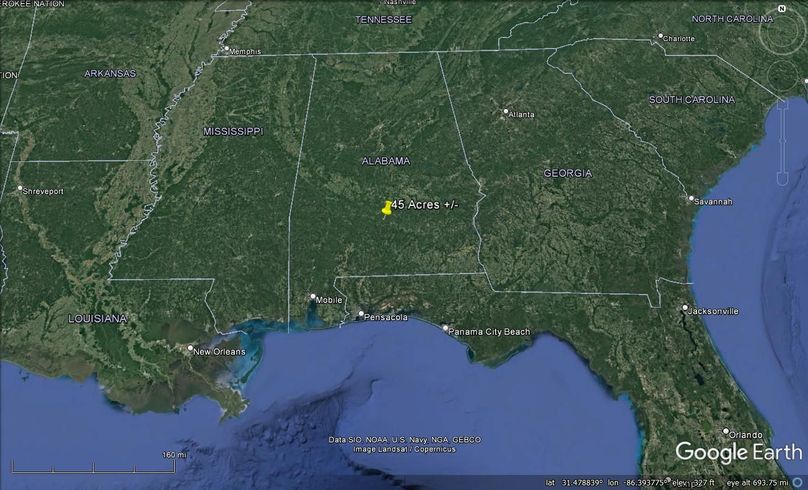 Aerial #8 Approx. 45 Acres Butler County, AL