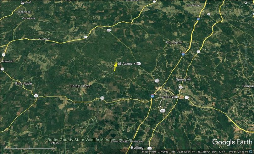 Aerial #6 Approx. 45 Acres Butler County, AL