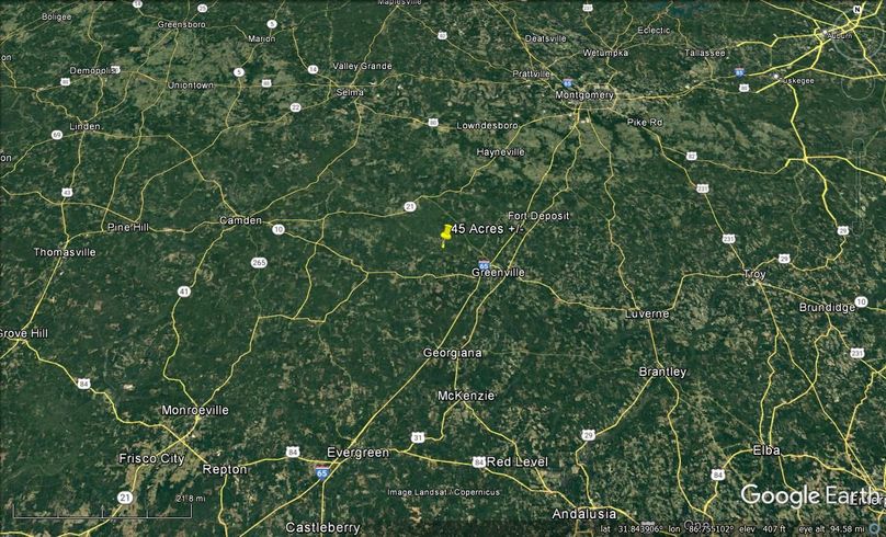 Aerial #7 Approx. 45 Acres Butler County, AL