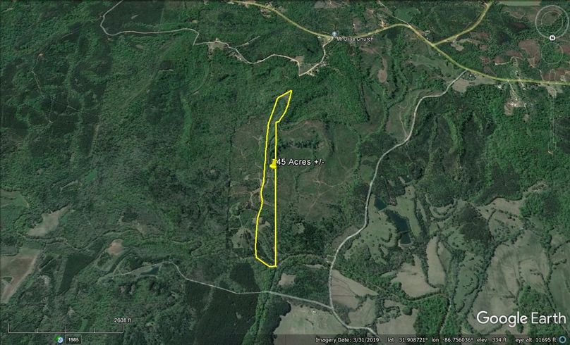 Aerial #4 Approx. 45 Acres Butler County, AL