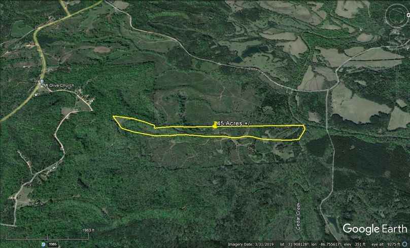 Aerial #5 Approx. 45 Acres Butler County, AL