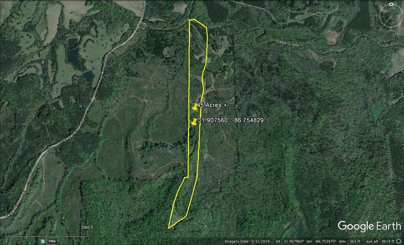 Aerial #1 Approx. 45 Acres Butler County, AL
