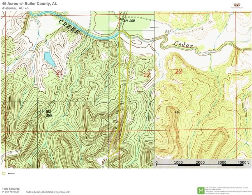 Topo Overview Approx. 45 Acres Butler County, AL