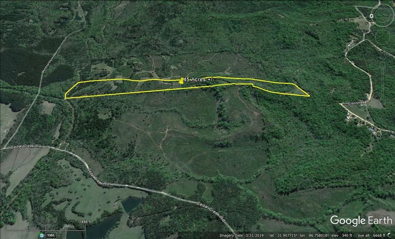 Aerial #3 Approx. 45 Acres Butler County, AL