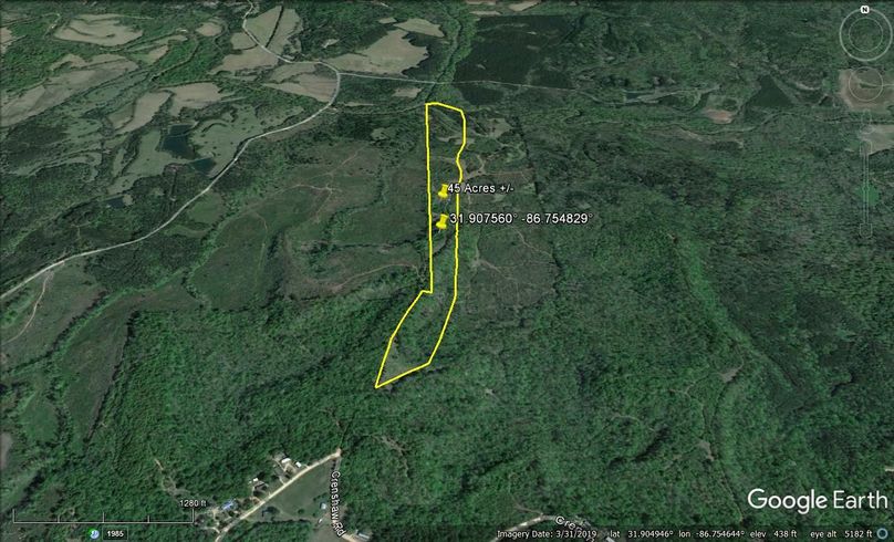 Aerial #2 Approx. 45 Acres Butler County, AL