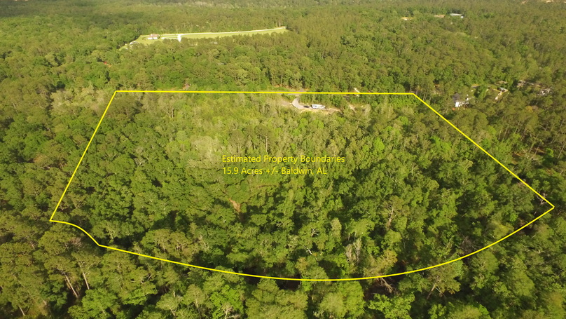 Main Pic Overview Approx. 15.9 Acres Baldwin, AL 04 29 2022