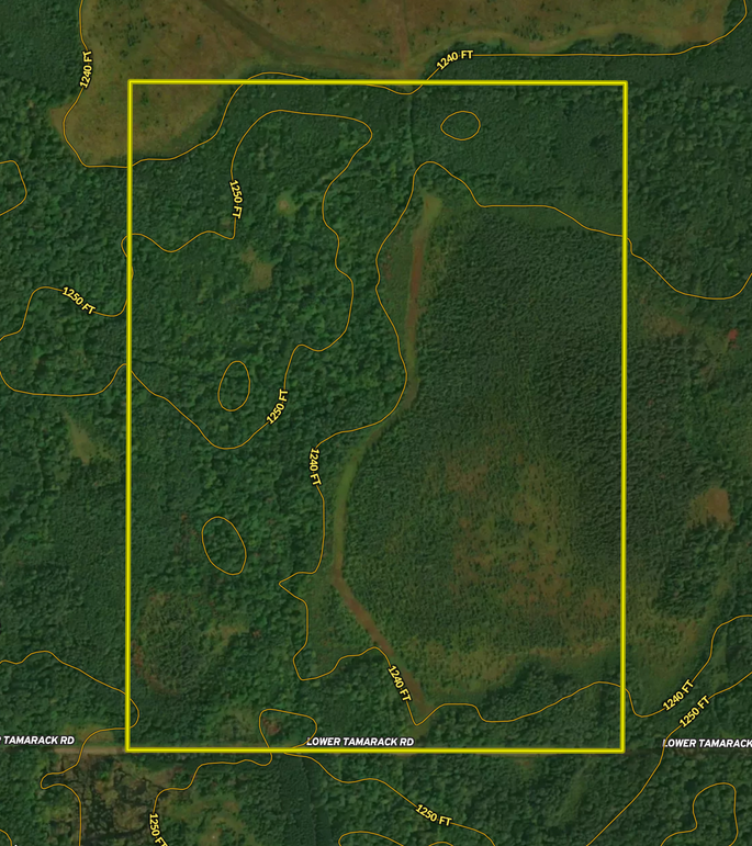 Screen Shot 2022-04-27 at 8.45.17 PM