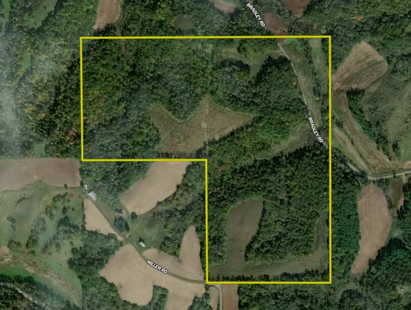 Screen Shot 2022-05-02 at 11.14.19 AM