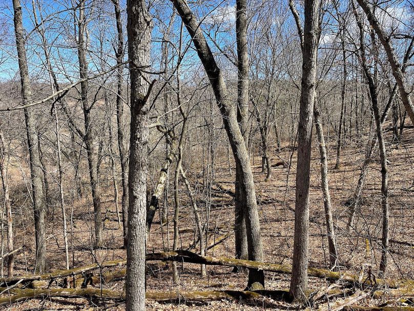 F3E20B31-C044-485E-81B2-12E94907773E