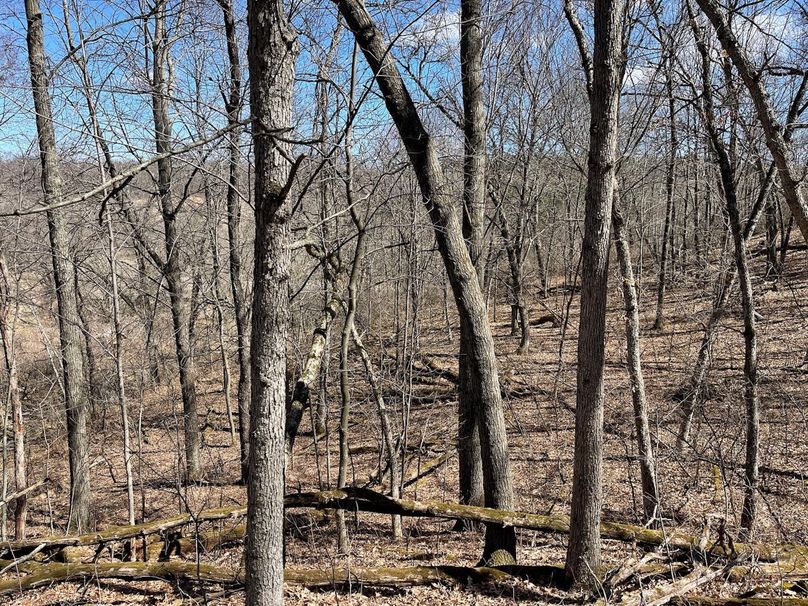 2487F8BF-C27E-4BE0-825B-E5382BBB83BB