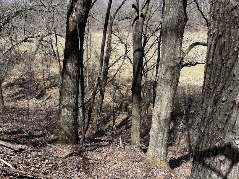 4C979CAD-1AF4-4278-9253-AD570484099A