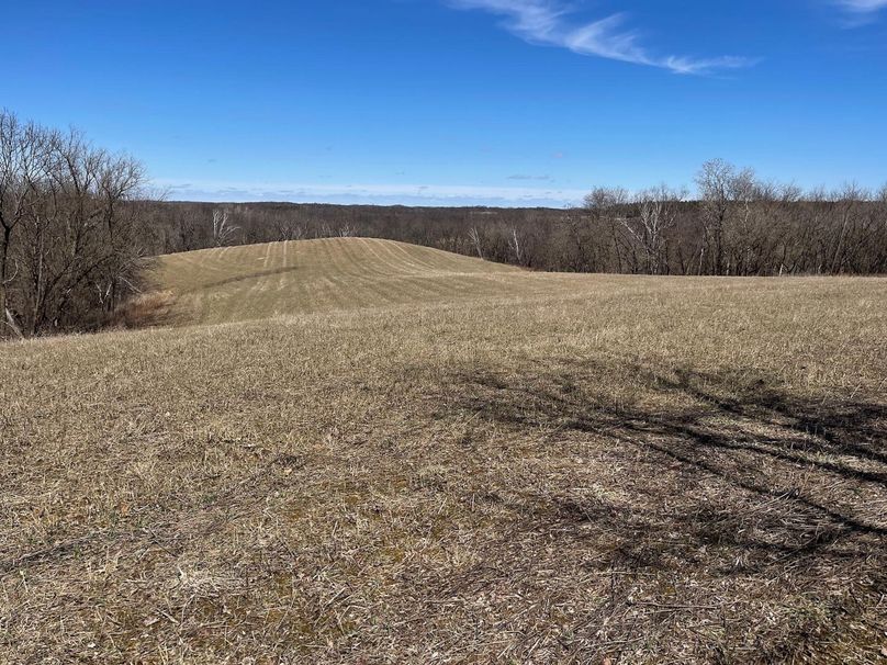 9E92311B-D82A-433F-8F78-EF2DC543453D