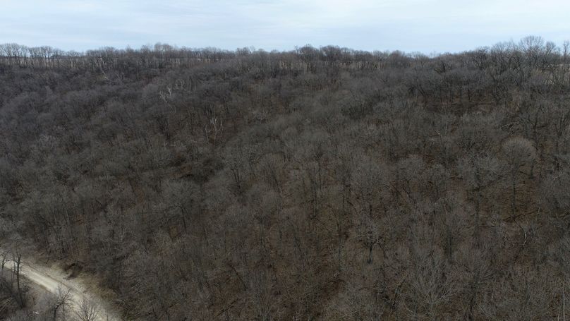 5DJI_0044