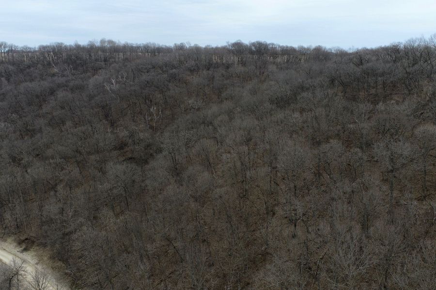 5DJI_0044