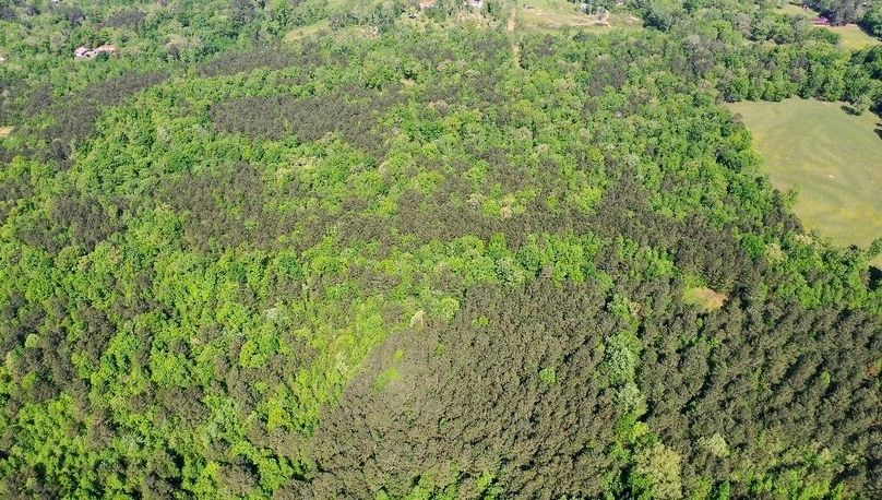 _Photo May 02, 10 19 02 AM