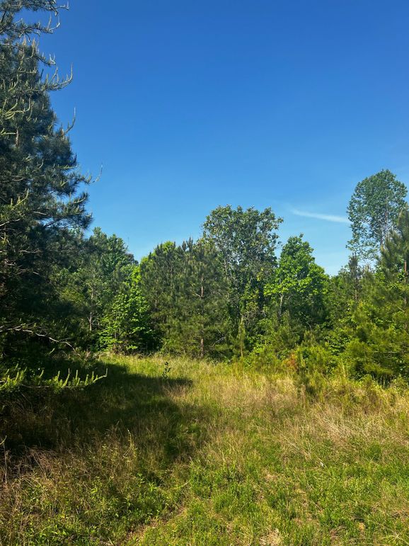 FC561C01-0F2C-4911-8E10-3188AB8CDE6A