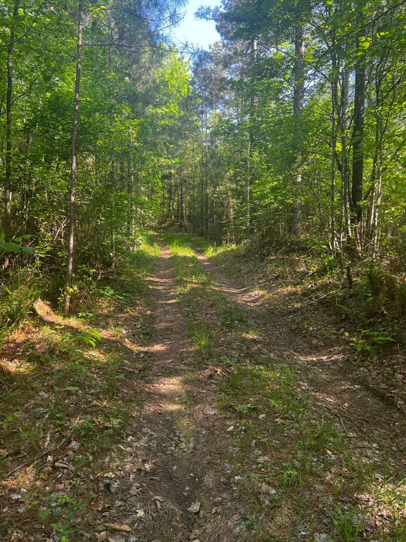 CDCD17C2-873C-4350-80BA-39C67E9290F5