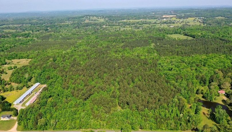 _Photo May 02, 10 19 06 AM