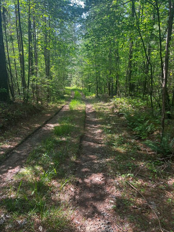 140699D0-5D84-45F8-B5C0-EC675F021B3A