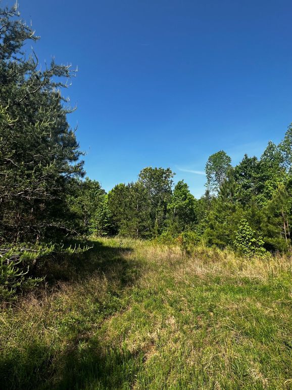 076DBB57-2A39-4151-9DA2-8EDA153E1BF3