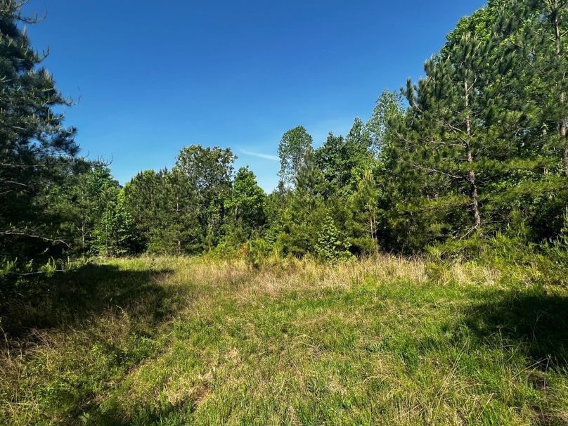 BB6C4A95-64AC-4454-B9D7-6DCE01A4AE67