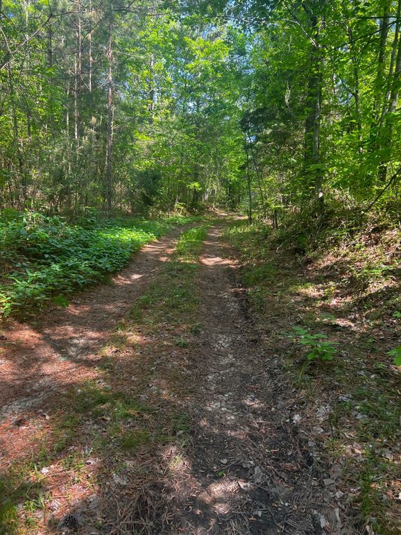 2FE60FE1-6003-4015-A327-BEED570178BF