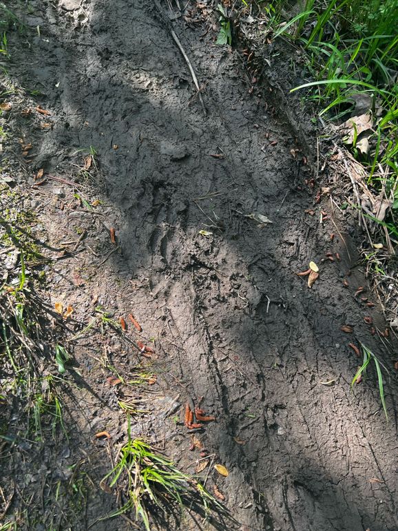 175950EA-AAD2-4AD3-A379-9022EC48E39B