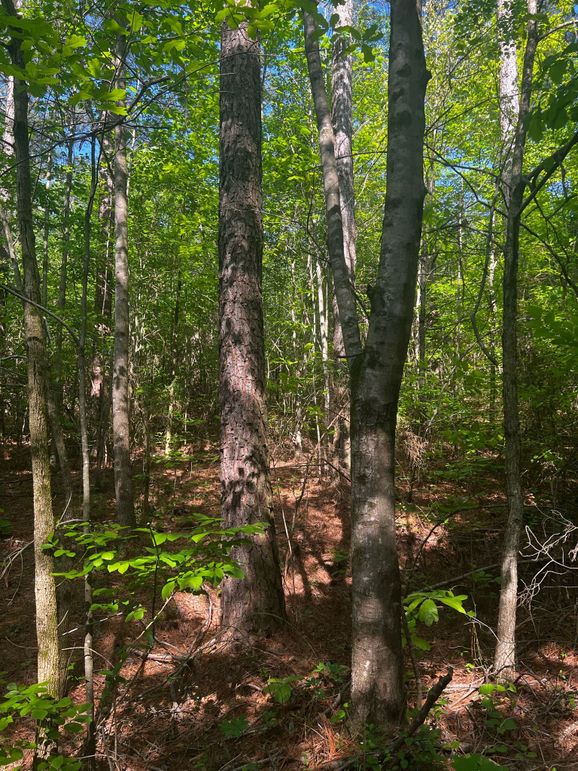 3563BA02-802F-4E56-945C-86E21B955036