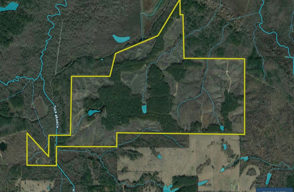 Screen Shot 2022-04-23 at 7.38.16 AM copy