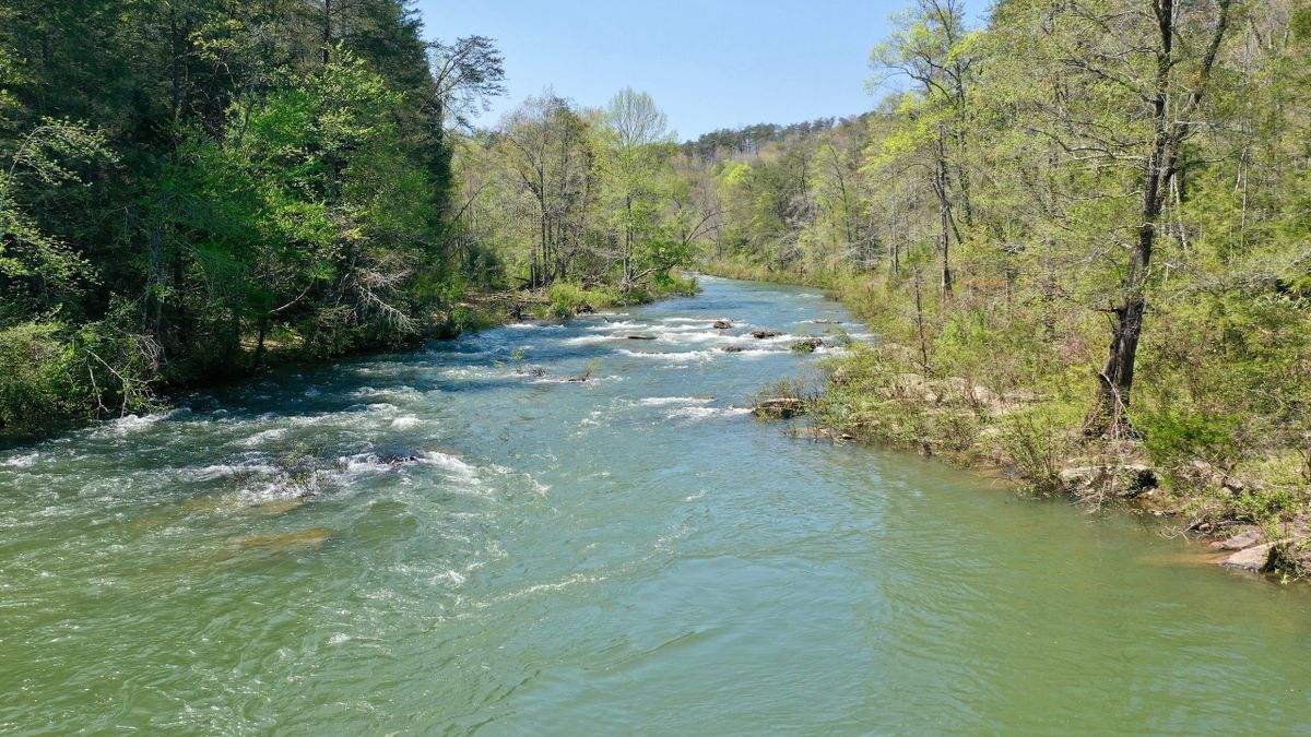 Caney Fork River Front Property With Building Sites Whitetail Properties