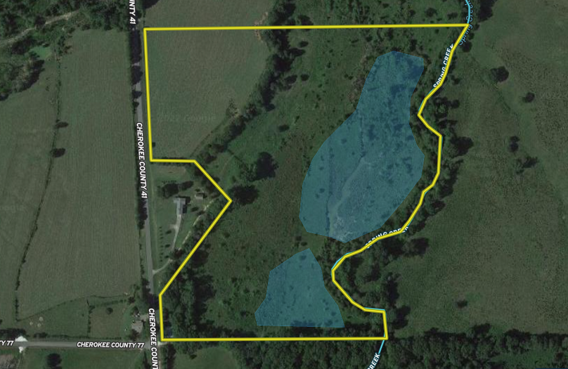 Screen Shot 2022-05-01 at 10.17.20 AM