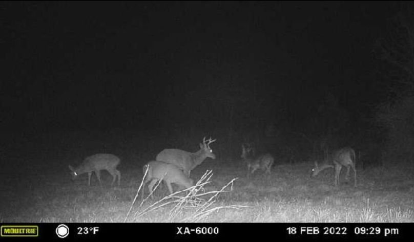 Screenshot_20220223-211549