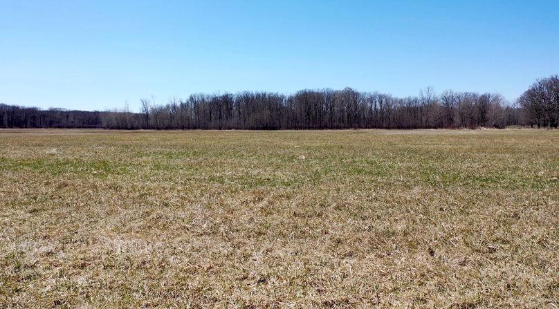 Screen Shot 2022-05-03 at 3.54.08 PM