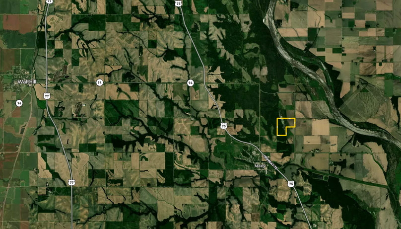 Screen Shot 2022-05-04 at 2.38.16 PM