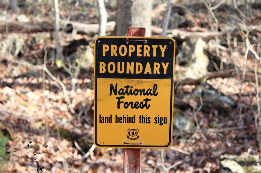 003 Daniel Boone National Forest boundary marker on the south edge of the property