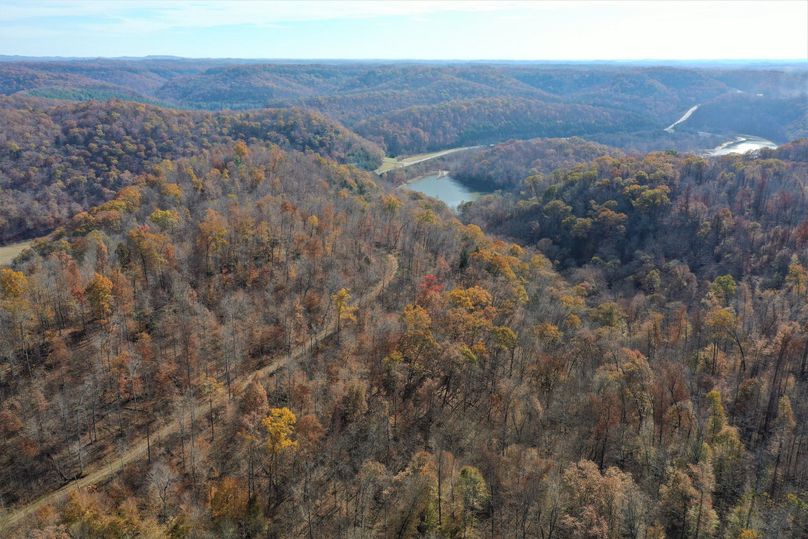 031 drone shot from the north boundary looking south across the property and Cave Run Lake
