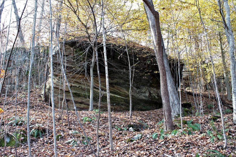 017 huge boulder broke away off the limestone cliffline