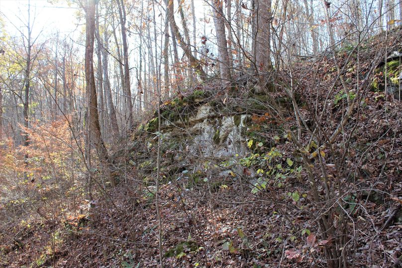024 limestone outcropping along the mid level area of the property