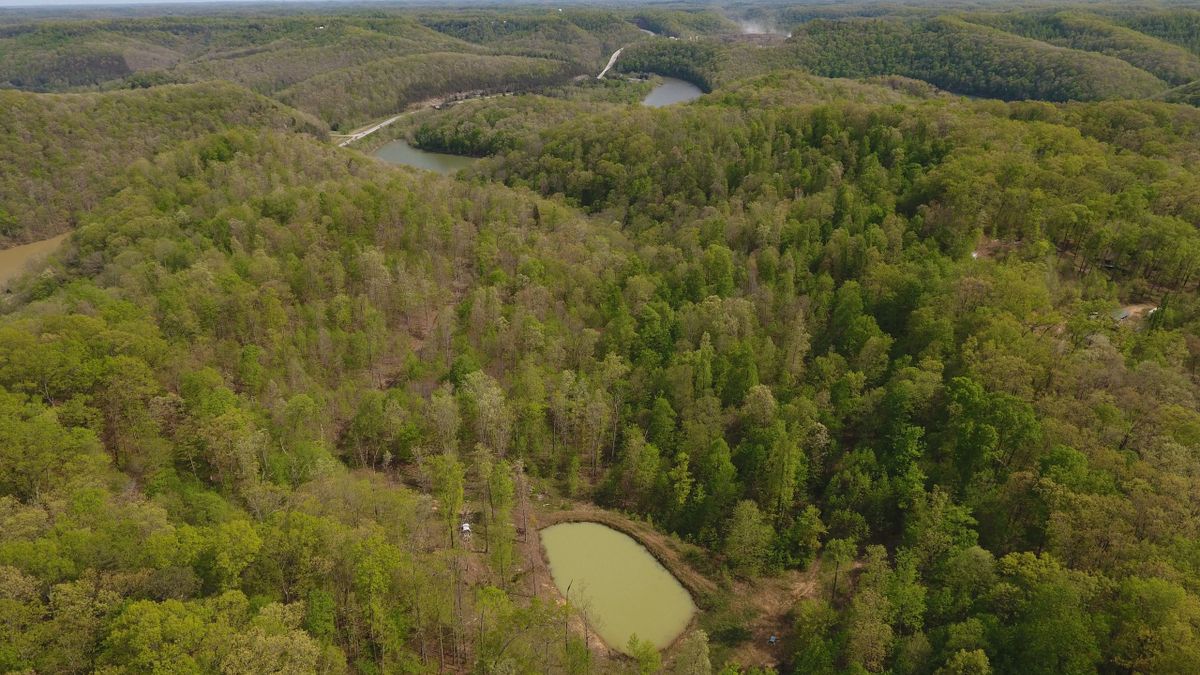 Recreational Property Adjoining Daniel Boone National Forest Near Cave