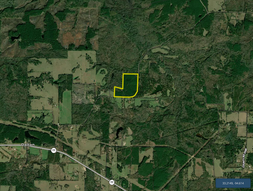 Screen Shot 2022-05-03 at 7.37.06 AM