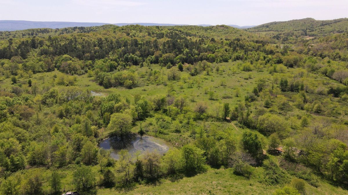 Premium Recreational Property In The Potato Hills Whitetail Properties