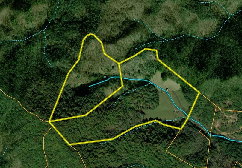 Screen Shot 2022-05-05 at 10.52.53 AM_ccexpress