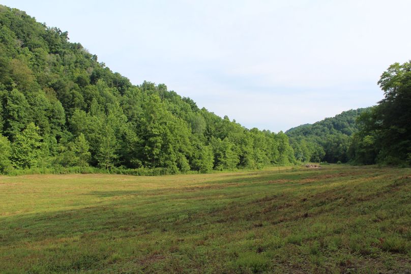 016 more of the open bottom land perfect for tillable food plots or your dream home 