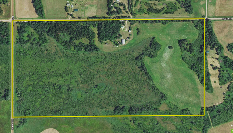 Screen Shot 2022-05-09 at 2.37.11 PM